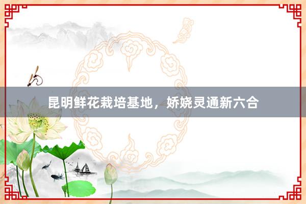 昆明鲜花栽培基地，娇娆灵通新六合
