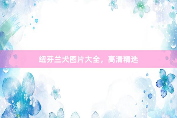 纽芬兰犬图片大全，高清精选