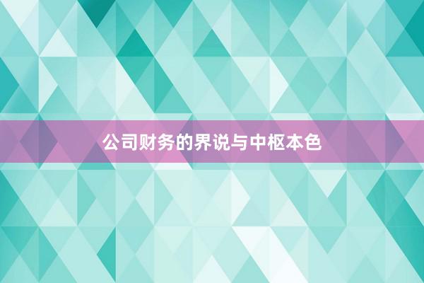公司财务的界说与中枢本色